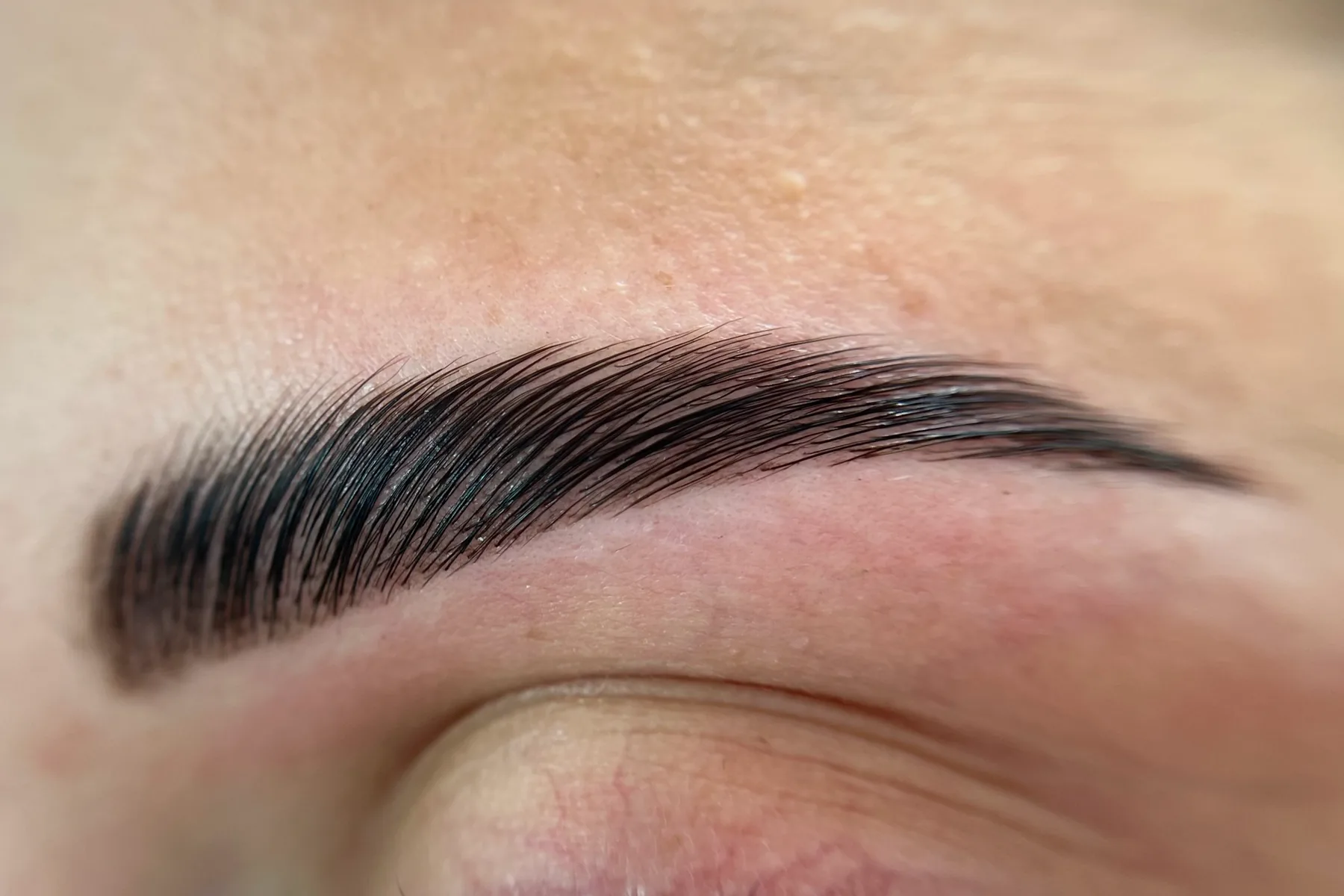 A brow up close, with the hairs laid evenly in one direction