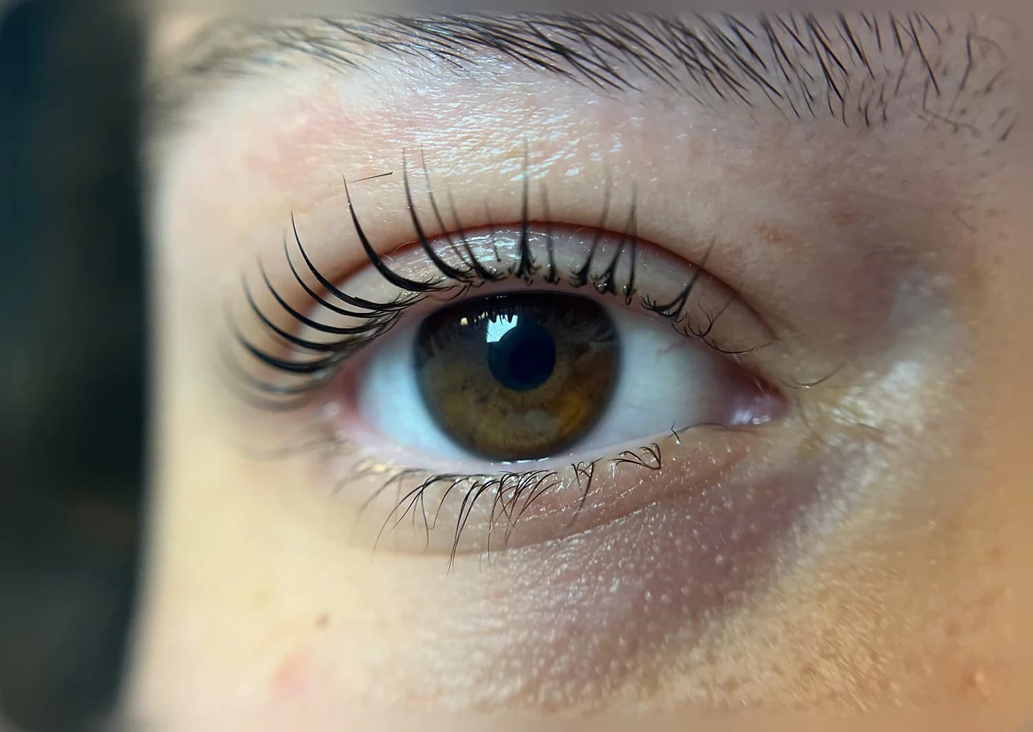 Ein Auge aus der Nähe mit gelifteten Wimpern, die vom Ansatz an nach oben stehen