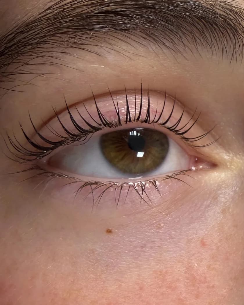 A brown eye with natural lashes that stand up after a lash lift
