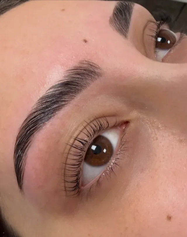 Augenbrauen und Wimpern nach einer Brow Lamination und einem Korean Lash Lift